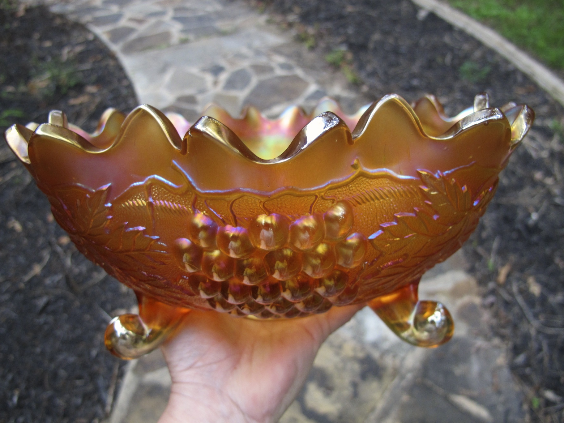 Antique Northwood Marigold Stippled Grape Cable Carnival Glass Fruit Bowl Carnival Glass,Tulip Trees In Bloom