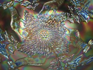 Antique Fenton Blue Stag & Holly Carnival Glass Nut or Fruit Bowl