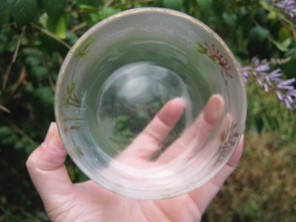 Antique Cristal d'Art Choicy le Roi Painted Cameo Art Glass Bowl