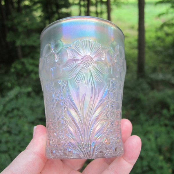 Antique U.S. Glass White Cosmos & Cane Carnival Glass Tumbler