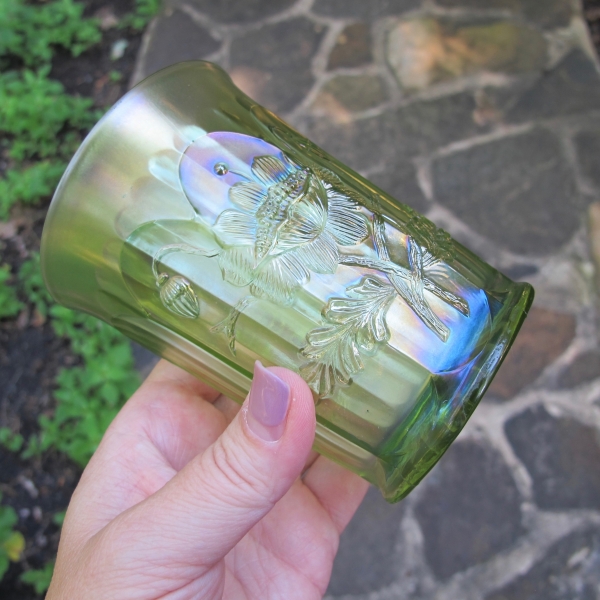 Antique Northwood Oriental Poppy Lime Green Carnival Glass Tumbler Ribbed Int.