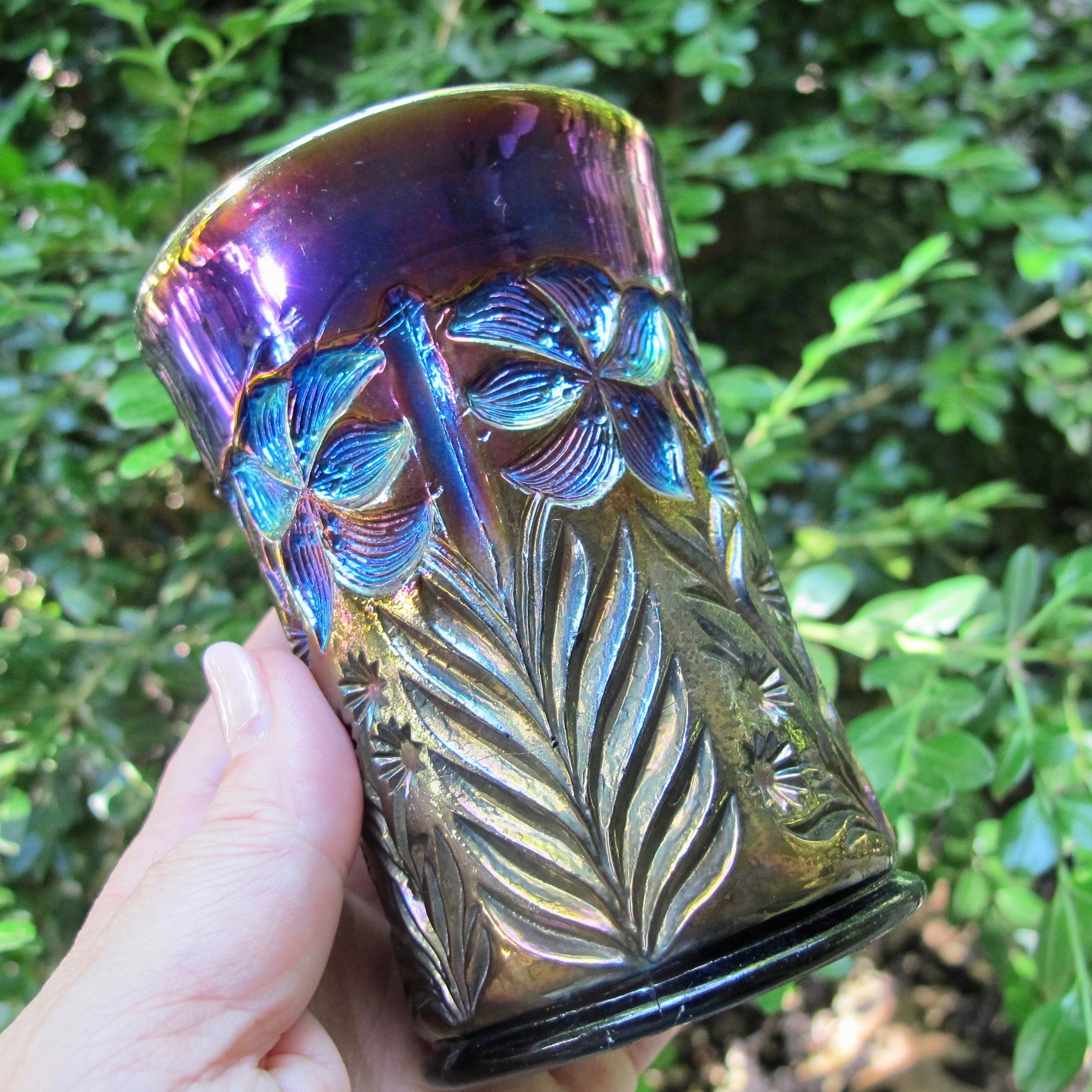 Imperial Tiger Lily Marigold Carnival Glass Flat Tumbler 4.25" Tall 3 Available 