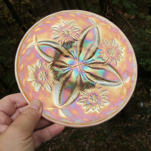 Antique Dugan Four Flowers Peach Opal Carnival Glass Plate