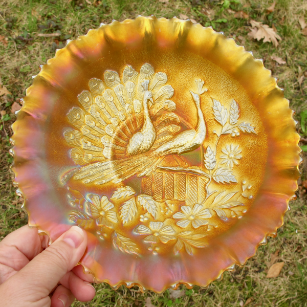 Antique Northwood Peacocks on Fence Stippled Marigold Carnival Glass PCE Bowl