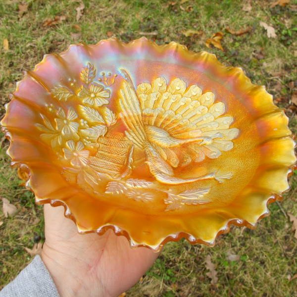 Antique Northwood Peacocks on Fence Stippled Marigold Carnival Glass PCE Bowl