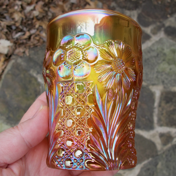 Antique U.S. Glass Cosmos & Cane Marigold Carnival Glass Tumbler