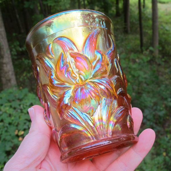 Antique Dugan Heavy Iris Pumpkin Marigold Carnival Glass Tumbler