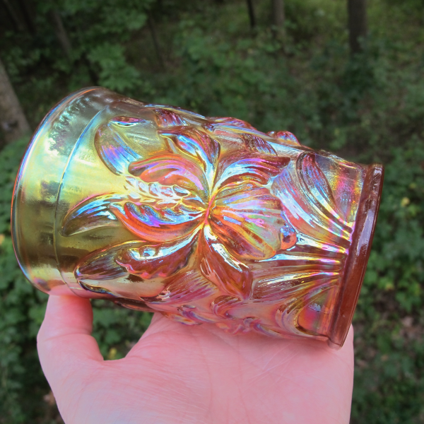 Antique Dugan Heavy Iris Pumpkin Marigold Carnival Glass Tumbler
