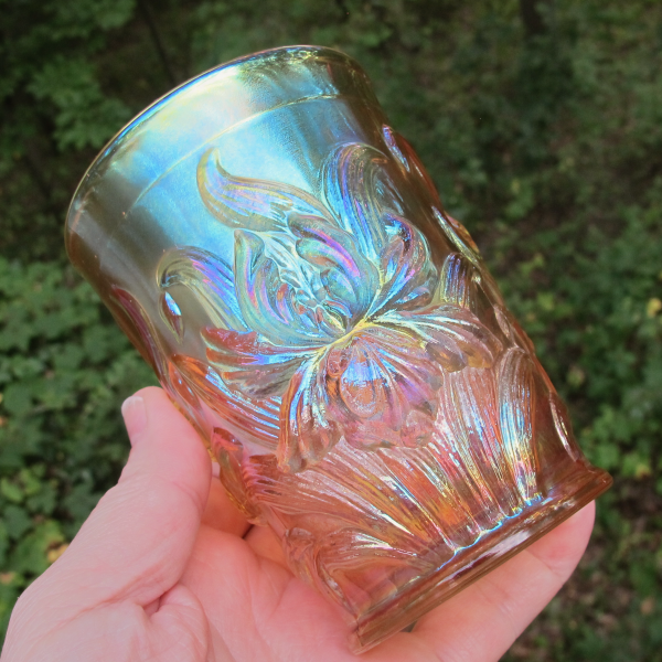 Antique Dugan Heavy Iris Pastel Marigold Carnival Glass Tumbler