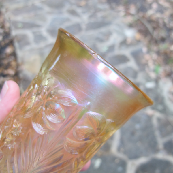Antique Imperial Tiger Lily Clambroth Carnival Glass Tumbler