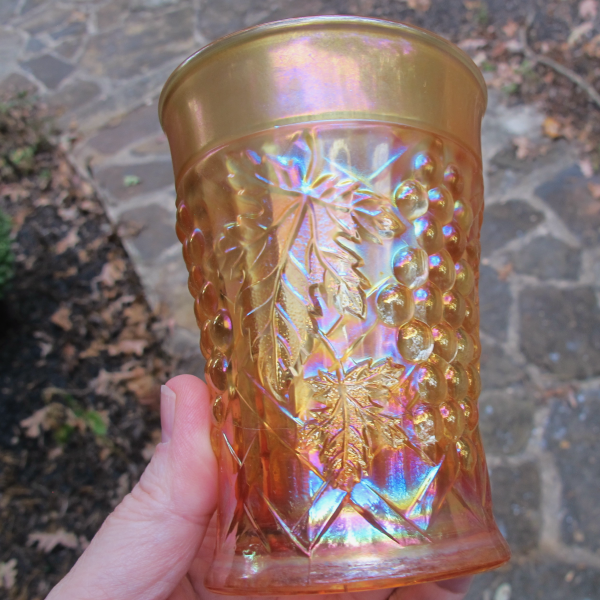 Antique Northwood Grape Arbor Marigold Carnival Glass Tumbler