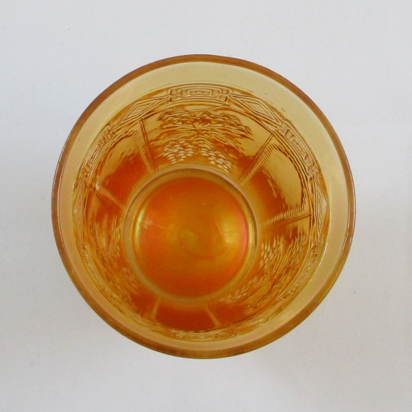 Antique Jain? Muscadine Marigold Carnival Glass Tumbler