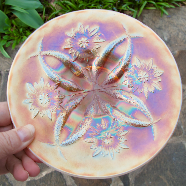 Antique Dugan Four Flowers Peach Opal Carnival Glass Plate Opalescent
