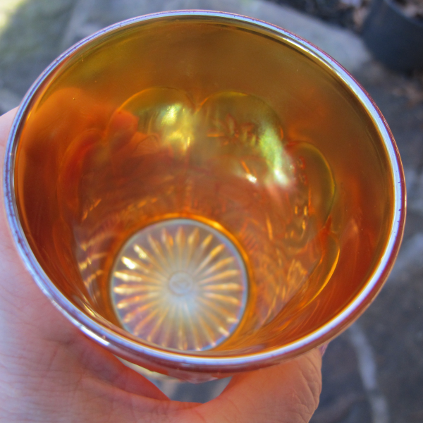 Antique Northwood Pumpkin Marigold Springtime Carnival Glass Tumbler