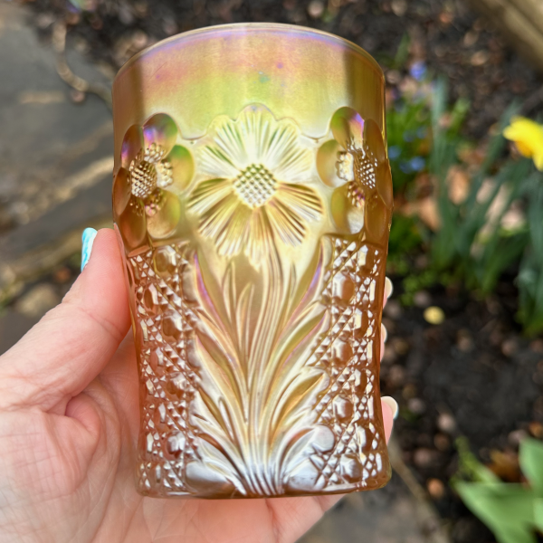 Antique U.S. Glass Cosmos & Cane Honey Amber Carnival Glass Tumbler